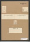 Diatomeae indet. Zeichnungen Sammlung Grunow Nr. 2825 (NHMW-BOT-W0370132)